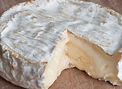 Camembert